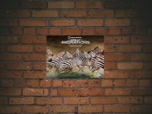 -Great Migrations (2010)-<br>The Original Movie