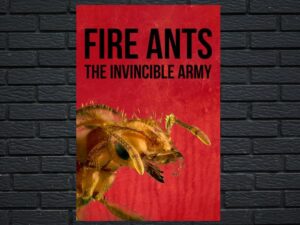 -Fire Ants 3D: The Invincible Army (2012)-<br>The Original Movie