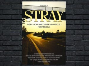 -Stray (2015)-<br>The Original Movie