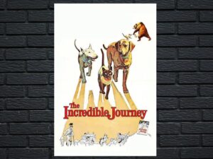 -The Incredible Journey (1963)-<br>The Original Movie