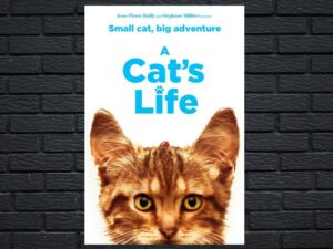 -A Cat's Life (2023)-<br>The Original Movie