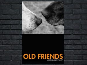 -Old Friends: A Dogumentary (2022)-<br>The Original Movie
