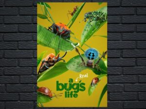 -A Real Bug's Life (2024)-<br>The Complete Series