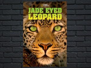 -Jade Eyed Leopard (2020)-<br>The Original Movie