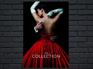 -The Collection (2016)-<br>The Complete Series
