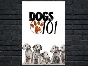 -Dogs 101 (2008)-<br>The Complete Series