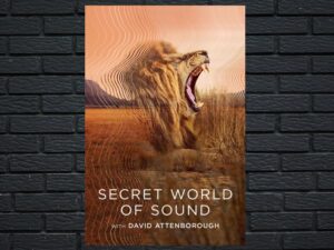 -Secret World of Sound with David Attenborough (2024)-<br>The Complete Series