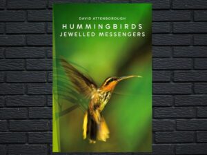 -Hummingbirds: Jewelled Messengers (2012)-<br>The Original Movie