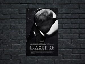 -Blackfish (2013)-<br>The Original Movie