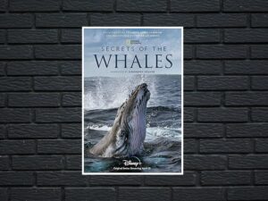 -Secrets of the Whales (2021)-<br>The Original Movie