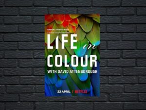 -Life in Colour (2021)-<br>The Complete Series