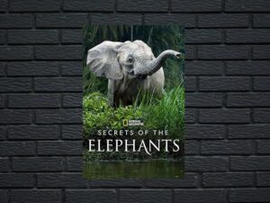 -Secrets of the Elephants (2023)-<br>The Complete Series