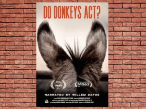 -Sanctuary (2017)-<br>The Original Movie