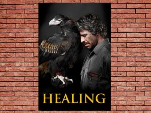 -Healing (2014)-<br>The Original Movie