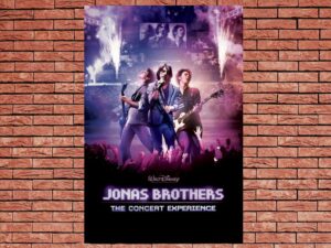 -Jonas Brothers: The Concert Experience (2009)-<br>The Original Movie