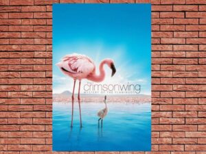 -The Crimson Wing: Mystery of the Flamingos (2008)-<br>The Original Movie