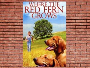 -Where the Red Fern Grows (1974)-<br>The Original Movie