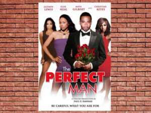 -The Perfect Man (2011)-<br>The Original Movie