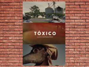 -Toxic (2020)-<br>The Original Movie