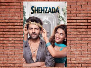 -Shehzada (2023)-<br>The Original Movie