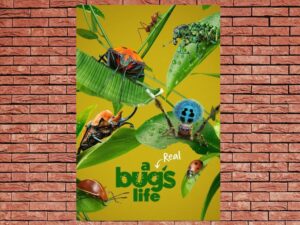-A Real Bug's Life (2024)-<br>The Original Movie