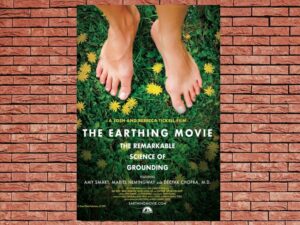 -The Earthing Movie (2019)-<br>The Original Movie