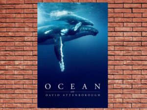 -Ocean with David Attenborough (2025)-<br>The Original Movie