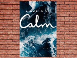 -A World of Calm (2020)-<br>The Complete Series