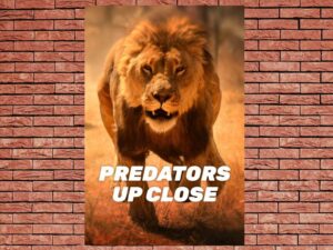 -Predators Up Close with Joel Lambert (2015)-<br>The Complete Series