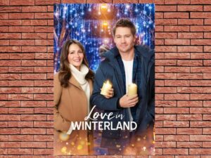 -Love in Winterland (2020)-<br>The Original Movie
