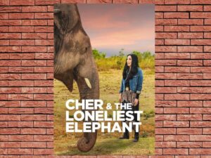 -Cher and the Loneliest Elephant (2021)-<br>The Original Movie