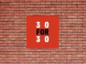-30 for 30 (2009)-<br>The Complete Series
