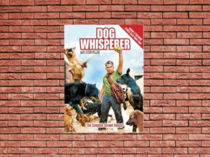-Dog Whisperer with Cesar Millan (2004)-<br>The Complete Series