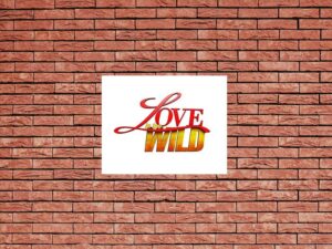 -Love in the Wild (2011)-<br>The Complete Series