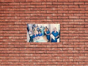 -One Born Every Minute (2010)-<br>The Complete Series