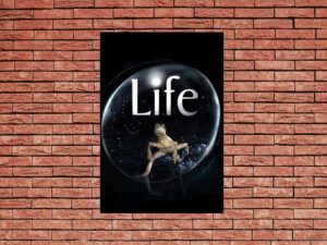 -Life (2009)-<br>The Complete Series