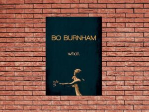 -Bo Burnham: what. (2013)-<br>The Original Movie