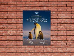 -Secrets of the Penguins (2025)-<br>The Complete Series