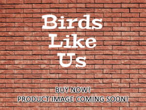 -Birds Like Us (2022)-<br>The Original Movie